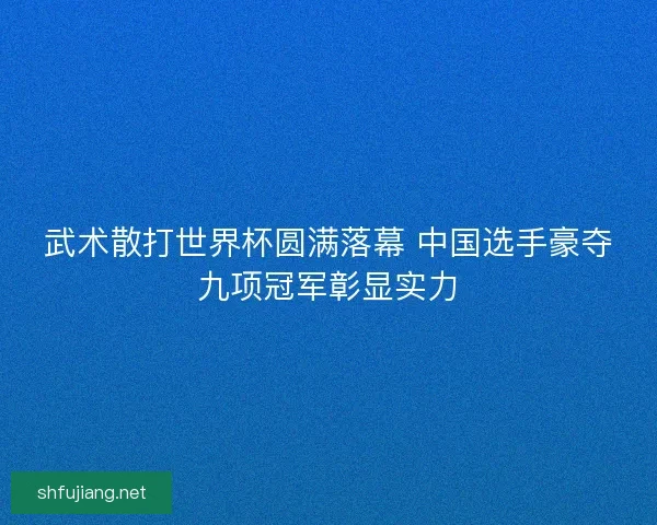 武术散打世界杯圆满落幕 中国选手豪夺九项冠军彰显实力
